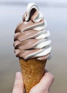 香草巧克力冰淇淋蛋卷图片