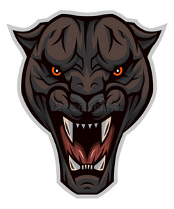 愤怒的黑豹的头照片