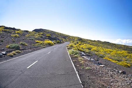 拉帕尔马乡村公路