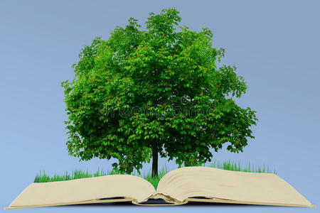 书与树