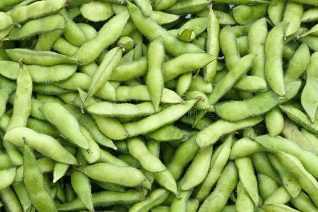 上的篮子里新鲜咖啡豆在篮子里白底绿叶鲜豌豆蓝色背景的有机鲜白芸豆