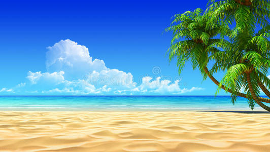 空旷田园热带沙滩上的棕榈树