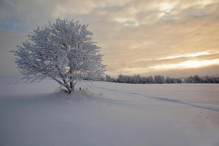 秋天.冬天.冷.抽象照片