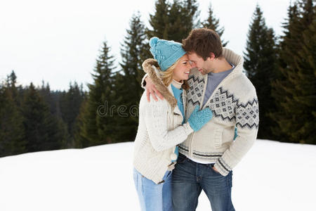 高山雪景中的年轻夫妇