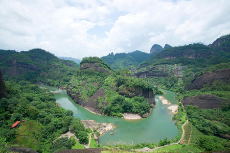 武夷山中小龙井图片