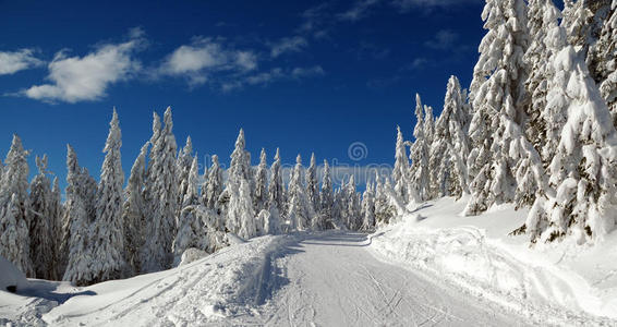 斯洛伐克山区冬季雪景