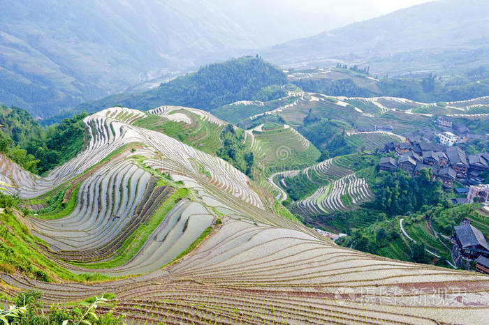 中国水稻梯田景观
