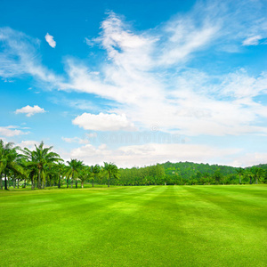 多云天空下的棕榈绿高尔夫球场图片