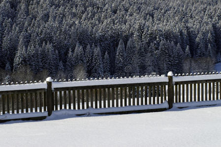 白雪覆盖的篱笆和树木