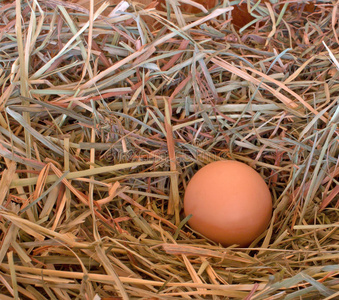 干草中的一个棕色鸡蛋