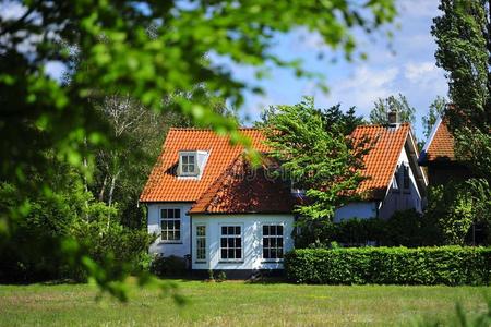 荷兰的房子照片