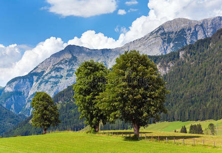 阿尔卑斯山夏季景观