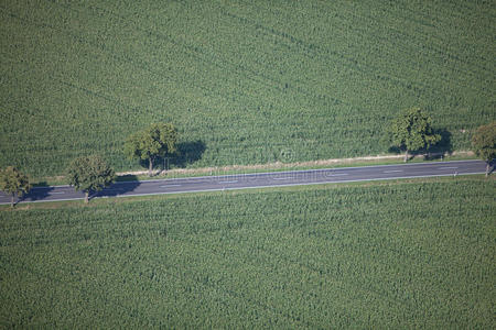 鸟瞰公路