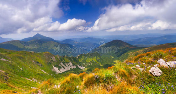 夏季景观