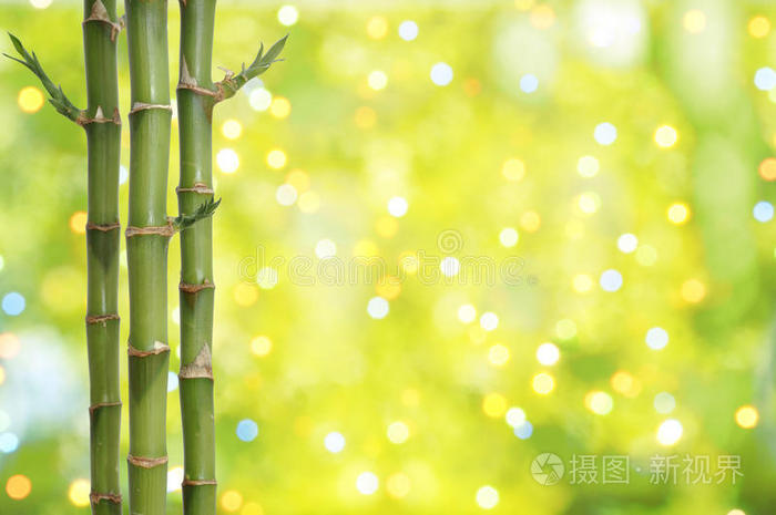 吉祥竹背景照片 正版商用图片0klag1 摄图新视界