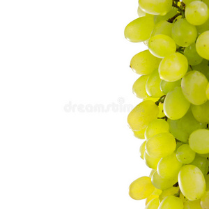 白葡萄。