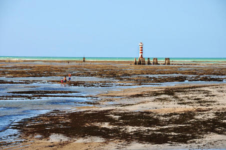 签名 风景 钓鱼 建筑学 场景 欧洲 花柱 孤独的 海湾