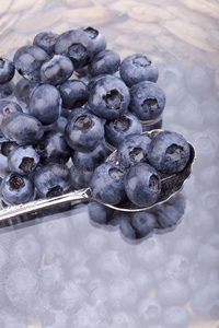 芥末放在勺子图片