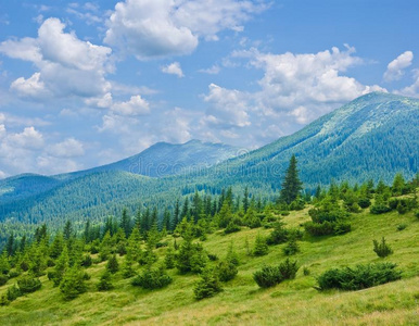 青山景观