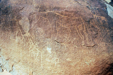 尼日尔描绘动物的古代岩石艺术图片