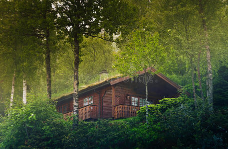 挪威森林中的房子