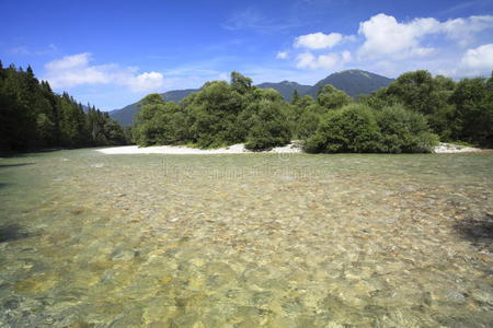 夏季景观