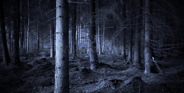 幽灵森林