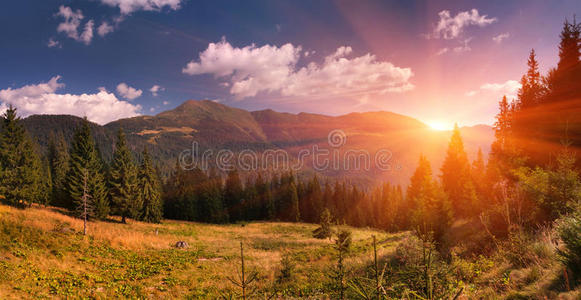 夏季山景