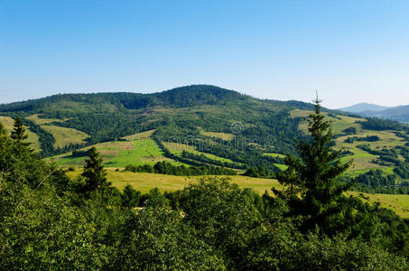 青山景观