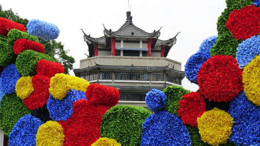 深圳城市花卉与建筑图片