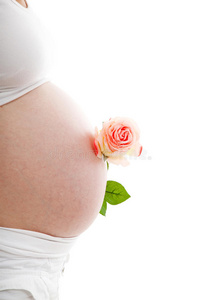 怀孕 等待 未出生 腹部 玫瑰 为人父母 宝贝 期望 出生