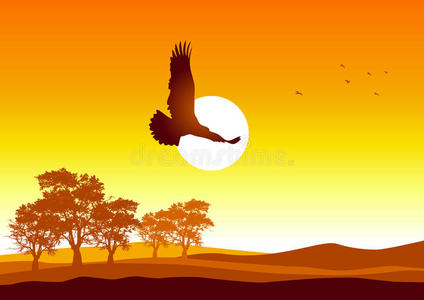 自由的天空图片