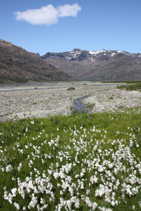 目的地 旅行 观光 自然 公园 冰川 风景 国家的 旅游业