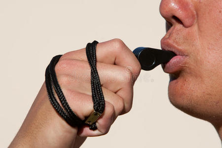 巽他吹哨鸫图片