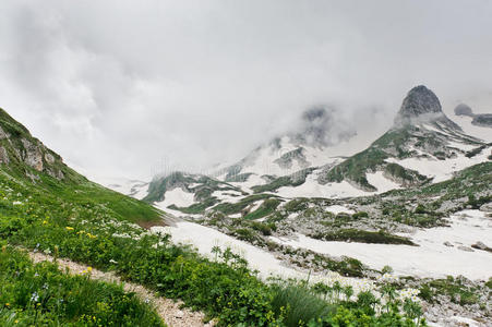 雪和草