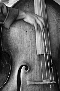 艺术 音乐会 和弦 工具 古董 人们 小提琴 魅力 笔记