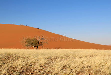 纳尼卜沙漠索斯维莱沙丘景观