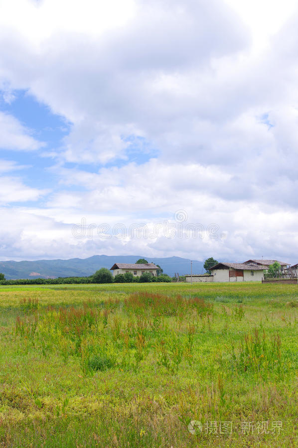 草原