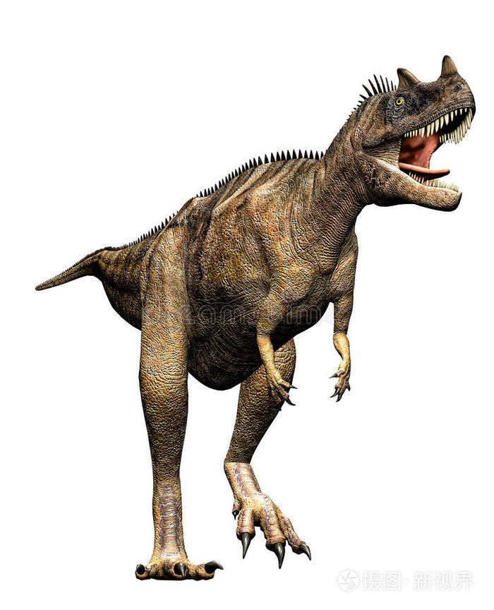 准备攻击的角龙