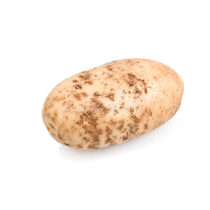 一个生马铃薯块茎