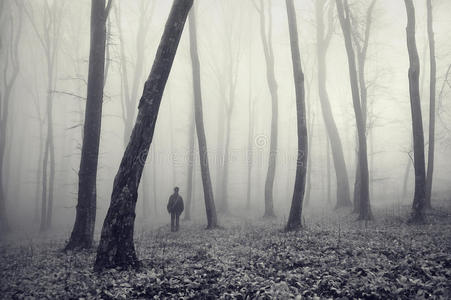 神秘森林中的雾人