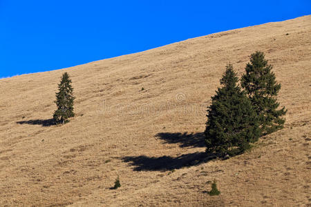 山地景观