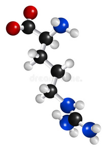 精氨酸分子结构