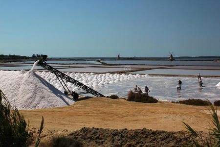 西西里莫西亚盐场的人和机器图片