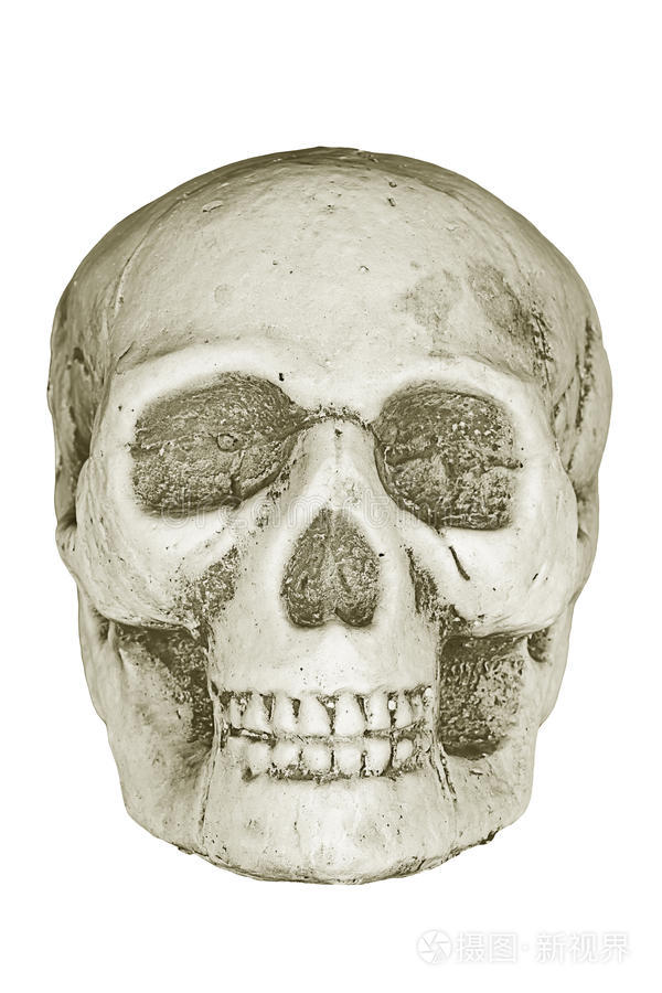 人类头骨.照片-正版商用图片0kpoqd-摄图新视界