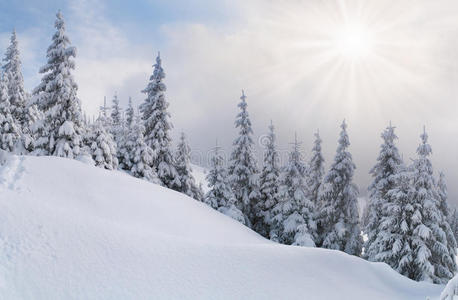 暴风雪