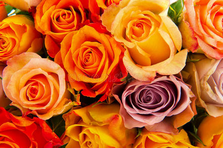 各种颜色的玫瑰花束