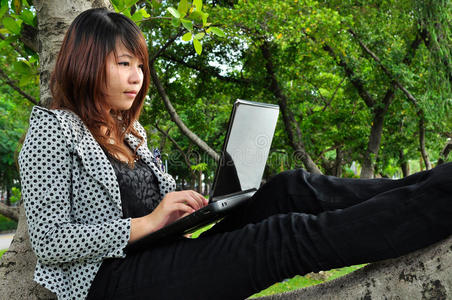 坐在树上玩笔记本电脑的女人图片