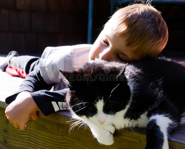 幸福 头发 动物 小猫 宠物 微笑 男孩 白种人 童年 小孩