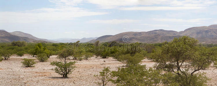 高科兰沙漠全景